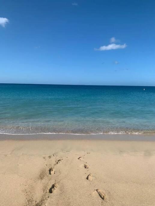 Casita 8 Minutes From Crashboat Beach Aguadilla Dış mekan fotoğraf